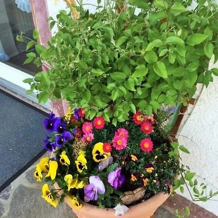 Gruss Aus Partenkirchen Apartment *