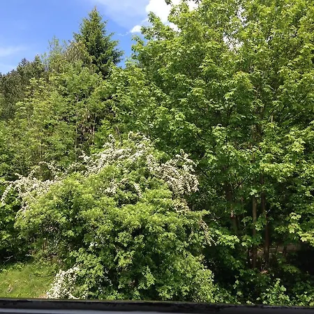 Gruss Aus Partenkirchen Apartament *