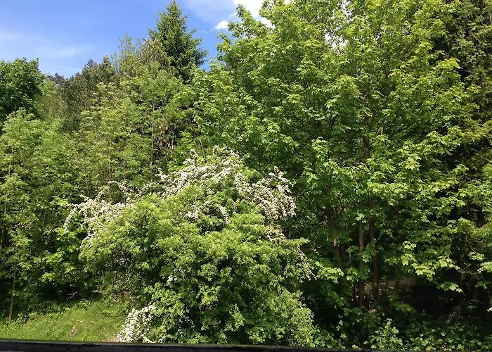 Gruss Aus Partenkirchen Apartment *